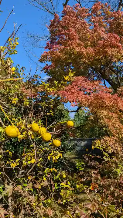 法寳閣檀林寺(京都府)