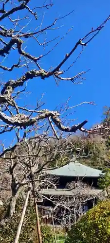 瑞泉寺(神奈川県)