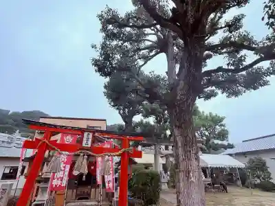 熊野神社(兵庫県)