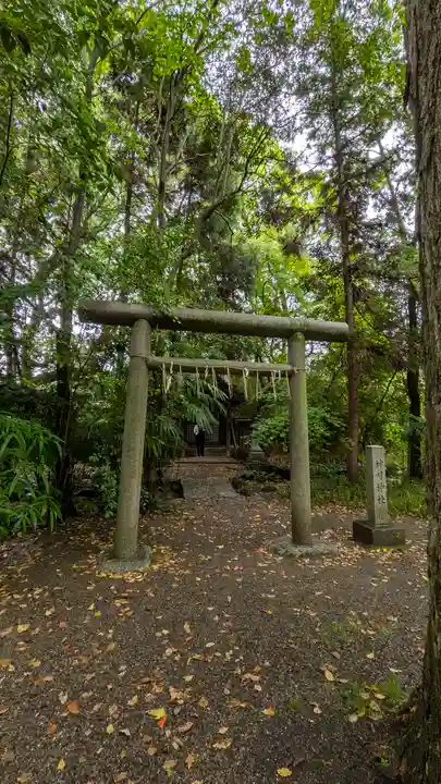 御霊神社(上御霊神社)(京都府)