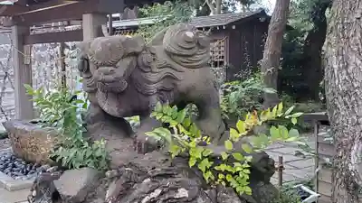 菊田神社の狛犬