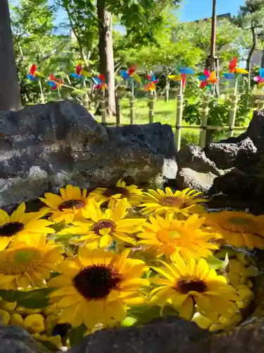 伊達神社の手水舎