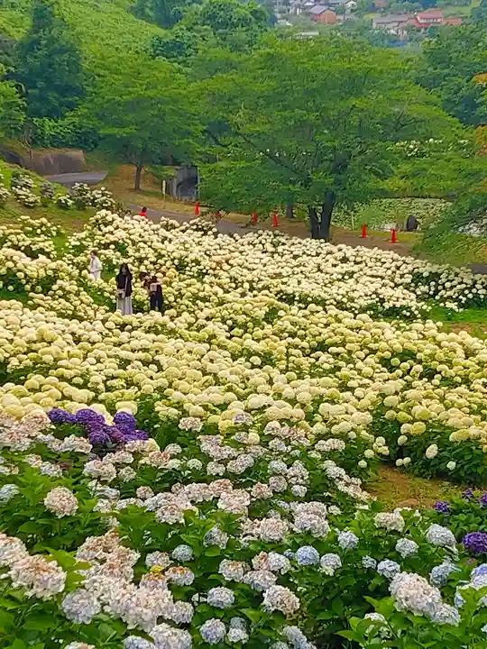 陽林寺(福島県)