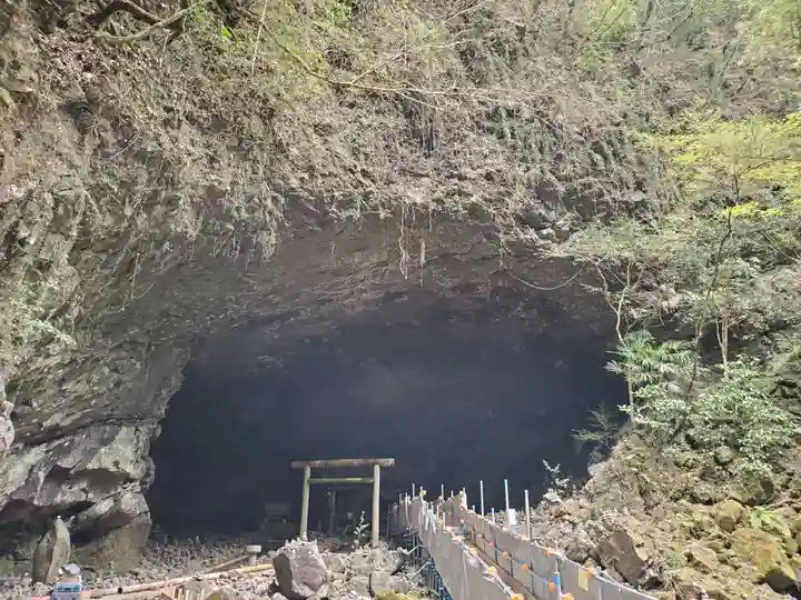 天岩戸神社の自然