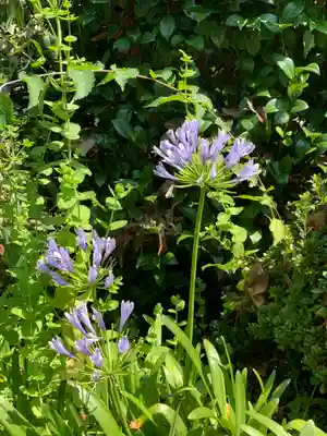 長泉寺(栃木県)