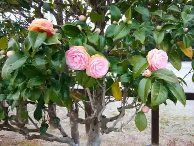 月夜見宮（豊受大神宮別宮）(三重県)