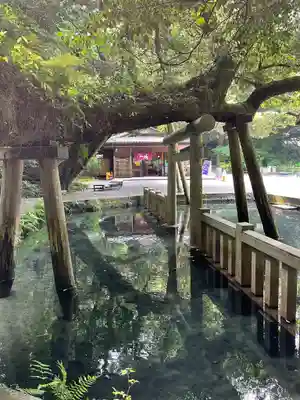 鹿島神宮(茨城県)