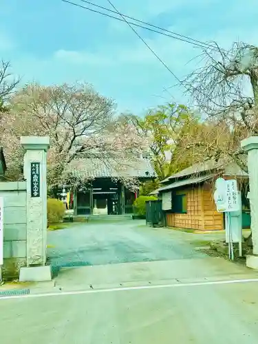 大山寺の御朱印
