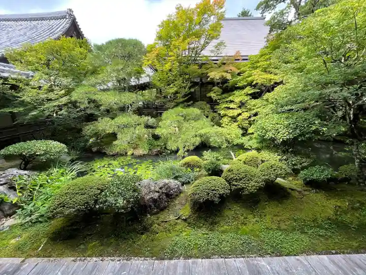禅林寺(永観堂)(京都府)