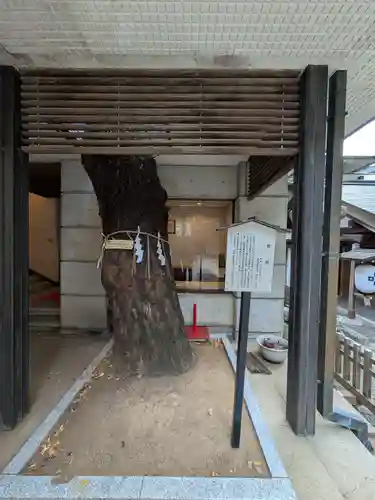 乃木神社(東京都)
