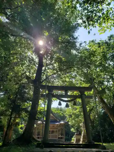 見多気神社の鳥居