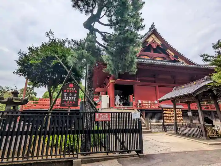 清水観音堂(東京都)