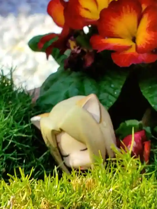 高円寺氷川神社(東京都)