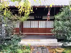 地蔵院（椿寺）(京都府)