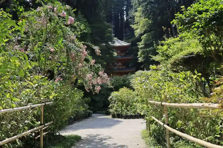 岩船寺(京都府)