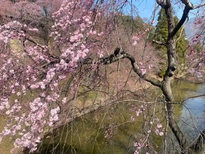 眞田神社の{uncategorized: "未分類", other: "その他", undefined: "問題あり", building: "その他建物", grave: "お墓", sacred_gate: "鳥居", guardian: "狛犬", statue: "像", buddha: "仏像", history: "歴史", nature: "自然", garden: "庭園", animal: "動物", pagoda: "塔", temizu: "手水舎", mountain_gate: "山門・神門", sanctuary: "本殿・本堂", subordinate: "末社・摂社", art: "芸術", scenery: "景色", jizo: "地蔵", ema: "絵馬", goshuin: "御朱印", omikuji: "おみくじ", items: "授与品その他", amulet: "お守り", goshuincho: "御朱印帳", eats: "食事", festival: "お祭り", votive_dance: "神楽", shichigosan: "七五三参", wedding: "結婚式", experience: "体験その他", initially: "初詣", around: "周辺", anti_infection: "感染症対策"}