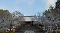 仁和寺の本殿