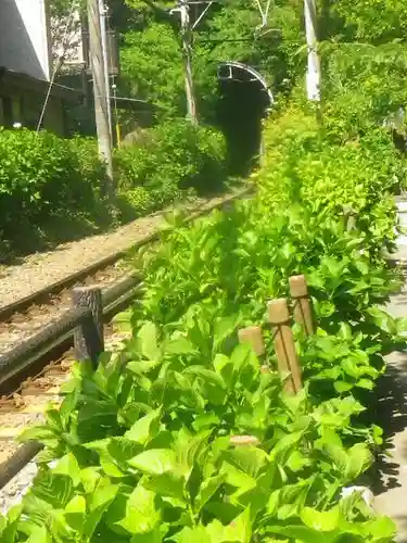 御霊神社の周辺