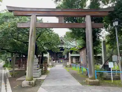 荏原神社の鳥居