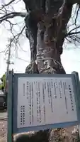 早尾神社のその他建物