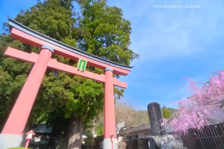 河口浅間神社(山梨県)