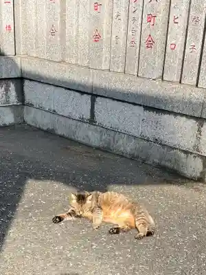 白金氷川神社の{uncategorized: "未分類", other: "その他", undefined: "問題あり", building: "その他建物", grave: "お墓", sacred_gate: "鳥居", guardian: "狛犬", statue: "像", buddha: "仏像", history: "歴史", nature: "自然", garden: "庭園", animal: "動物", pagoda: "塔", temizu: "手水舎", mountain_gate: "山門・神門", sanctuary: "本殿・本堂", subordinate: "末社・摂社", art: "芸術", scenery: "景色", jizo: "地蔵", ema: "絵馬", goshuin: "御朱印", omikuji: "おみくじ", items: "授与品その他", amulet: "お守り", goshuincho: "御朱印帳", eats: "食事", festival: "お祭り", votive_dance: "神楽", shichigosan: "七五三参", wedding: "結婚式", experience: "体験その他", initially: "初詣", around: "周辺", anti_infection: "感染症対策"}