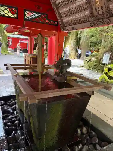 箱根神社の{uncategorized: "未分類", other: "その他", undefined: "問題あり", building: "その他建物", grave: "お墓", sacred_gate: "鳥居", guardian: "狛犬", statue: "像", buddha: "仏像", history: "歴史", nature: "自然", garden: "庭園", animal: "動物", pagoda: "塔", temizu: "手水舎", mountain_gate: "山門・神門", sanctuary: "本殿・本堂", subordinate: "末社・摂社", art: "芸術", scenery: "景色", jizo: "地蔵", ema: "絵馬", goshuin: "御朱印", omikuji: "おみくじ", items: "授与品その他", amulet: "お守り", goshuincho: "御朱印帳", eats: "食事", festival: "お祭り", votive_dance: "神楽", shichigosan: "七五三参", wedding: "結婚式", experience: "体験その他", initially: "初詣", around: "周辺", anti_infection: "感染症対策"}