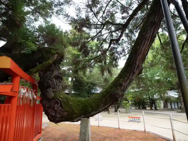 香椎宮(福岡県)