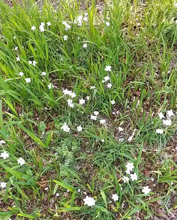 比佐豆知神社(三重県)