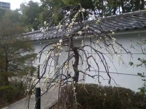 高津宮の庭園