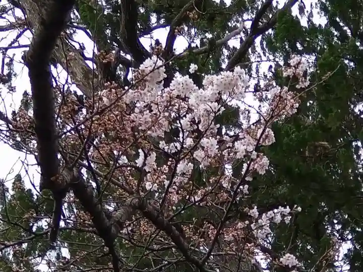 立鉾鹿島神社の自然