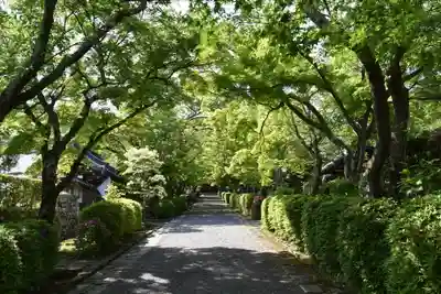 西教寺のその他建物