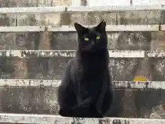 王子神社の動物