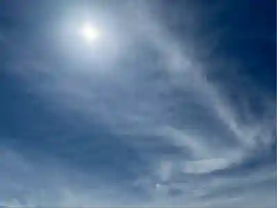 雀神社(茨城県)