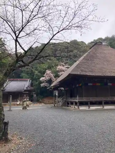 本興寺(静岡県)