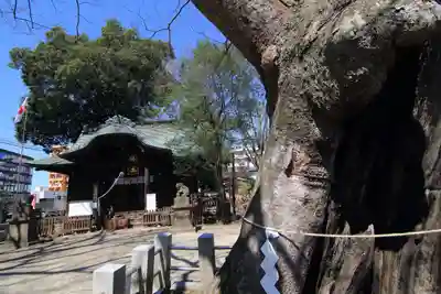 阿邪訶根神社のその他建物