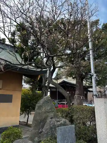 東京羽田 穴守稲荷神社の{uncategorized: "未分類", other: "その他", undefined: "問題あり", building: "その他建物", grave: "お墓", sacred_gate: "鳥居", guardian: "狛犬", statue: "像", buddha: "仏像", history: "歴史", nature: "自然", garden: "庭園", animal: "動物", pagoda: "塔", temizu: "手水舎", mountain_gate: "山門・神門", sanctuary: "本殿・本堂", subordinate: "末社・摂社", art: "芸術", scenery: "景色", jizo: "地蔵", ema: "絵馬", goshuin: "御朱印", omikuji: "おみくじ", items: "授与品その他", amulet: "お守り", goshuincho: "御朱印帳", eats: "食事", festival: "お祭り", votive_dance: "神楽", shichigosan: "七五三参", wedding: "結婚式", experience: "体験その他", initially: "初詣", around: "周辺", anti_infection: "感染症対策"}
