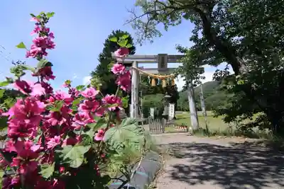 高司神社〜むすびの神の鎮まる社〜の鳥居