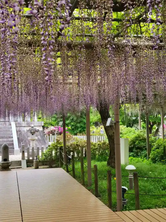 曼陀羅寺の庭園