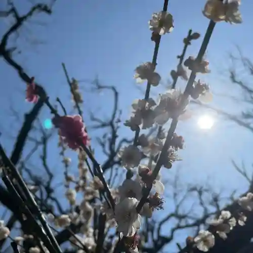 光則寺(神奈川県)