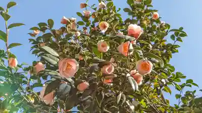 浄安寺(京都府)