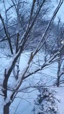 新琴似神社の周辺