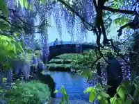 西寒多神社(大分県)