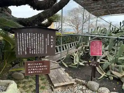 龍華寺(静岡県)