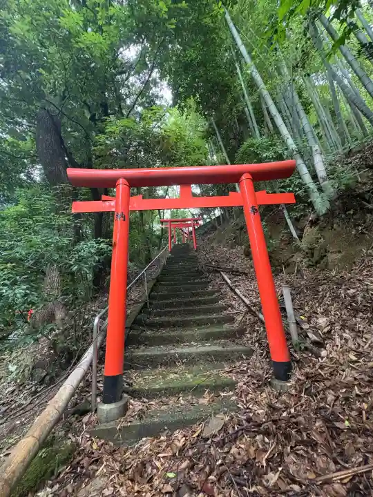 大學稲荷神社の鳥居