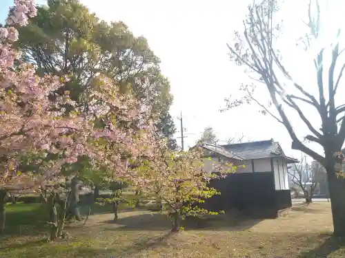 大己貴神社の景色