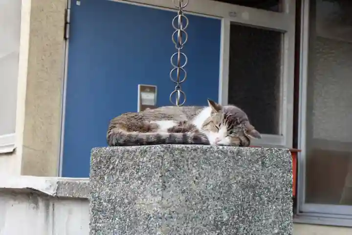 医王寺(広島県)