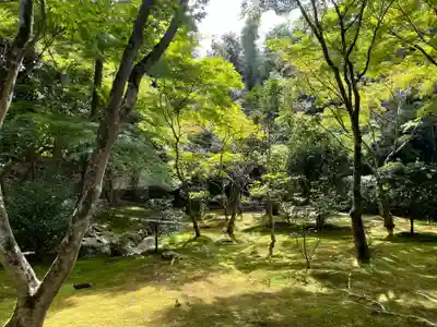 慈照寺（慈照禅寺・銀閣寺）(京都府)
