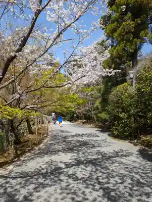 龍安寺(京都府)