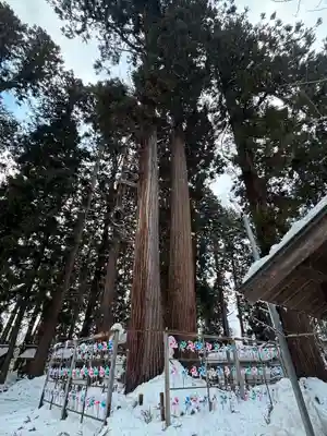 熊野大社(山形県)
